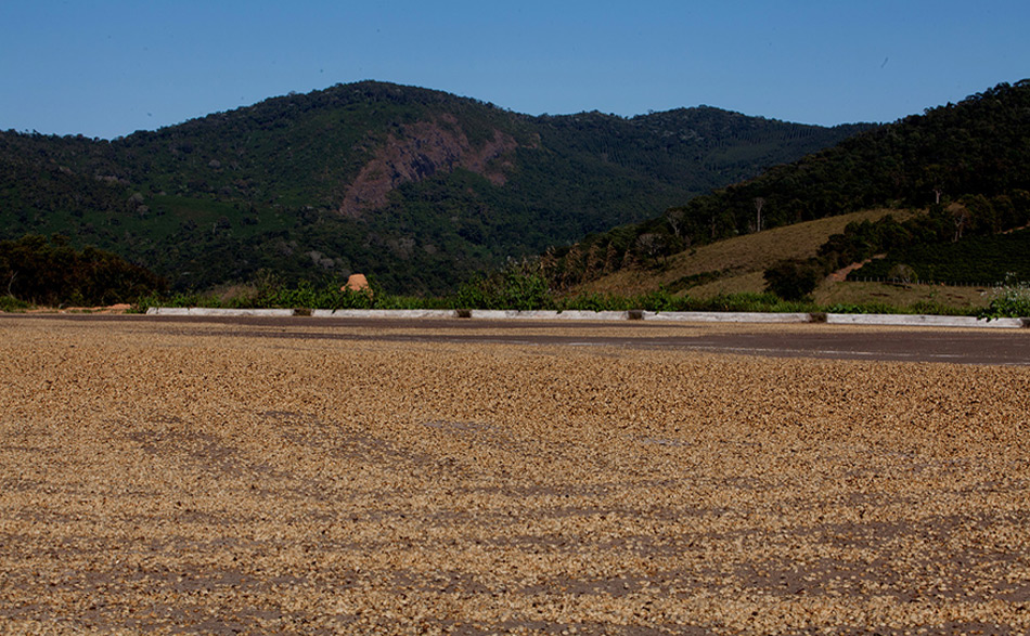 Serra da microrregiao da Mantiqueira de Minas  em  Carmo de Minas onde fica a sede da Cocarive maior produtora de café especial do Brasil.
